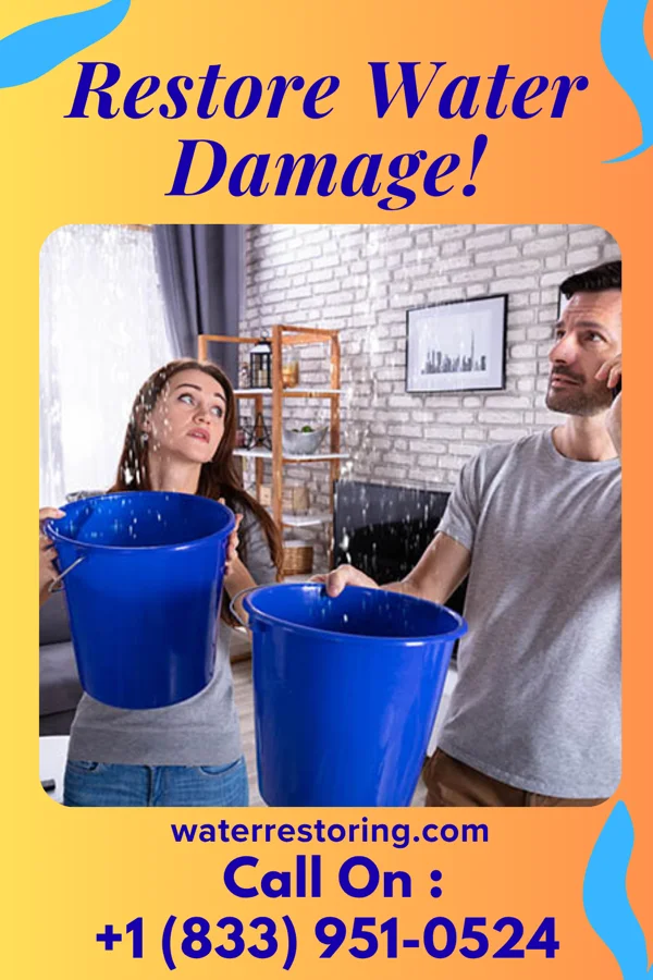water restoration Vigilant Property Restoration LLC Fairview-Ferndale
