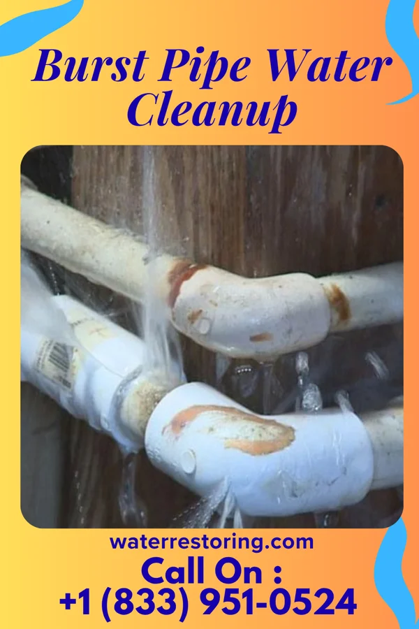 Burst Pipe Water Cleanup in Fairview-Ferndale, PA