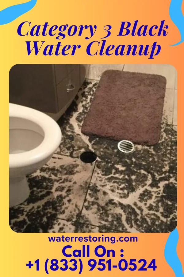 Category 3 Black Water Cleanup in Fairview-Ferndale, PA