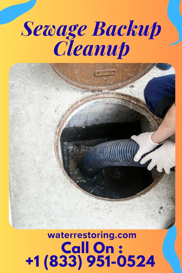 Sewage Backup Cleanup in Fairview-Ferndale, PA